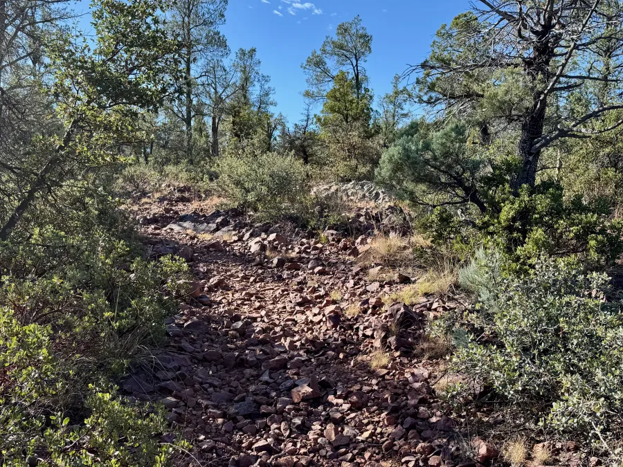 The trail begins a steep climb