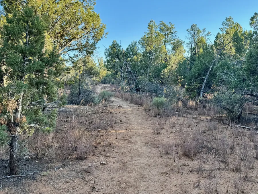 The trail on Whiterock Mesa