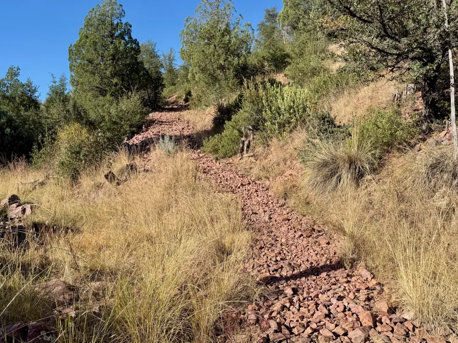 A rocky trail
