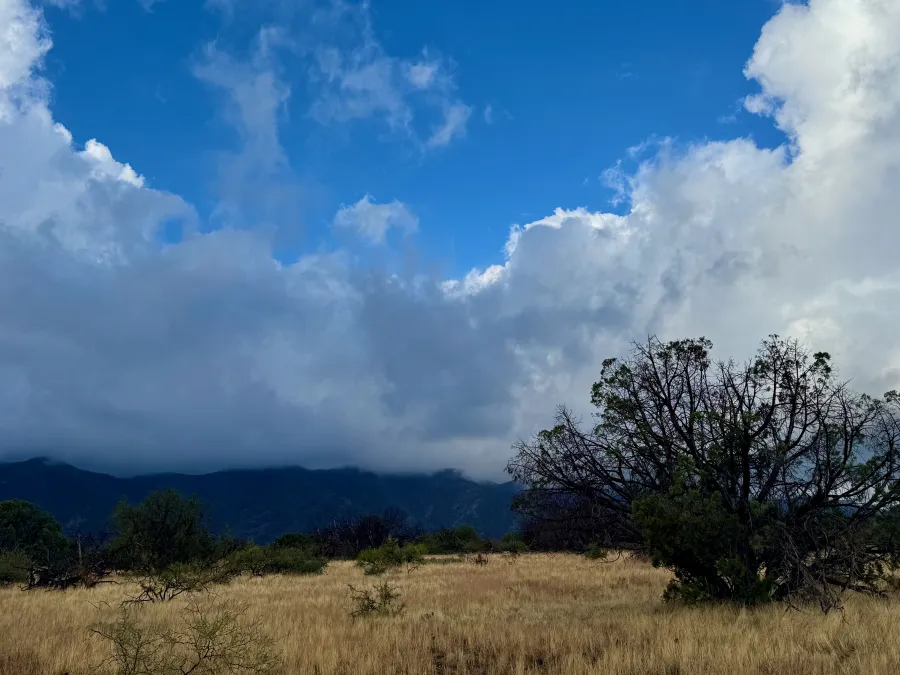 A patch of blue sky