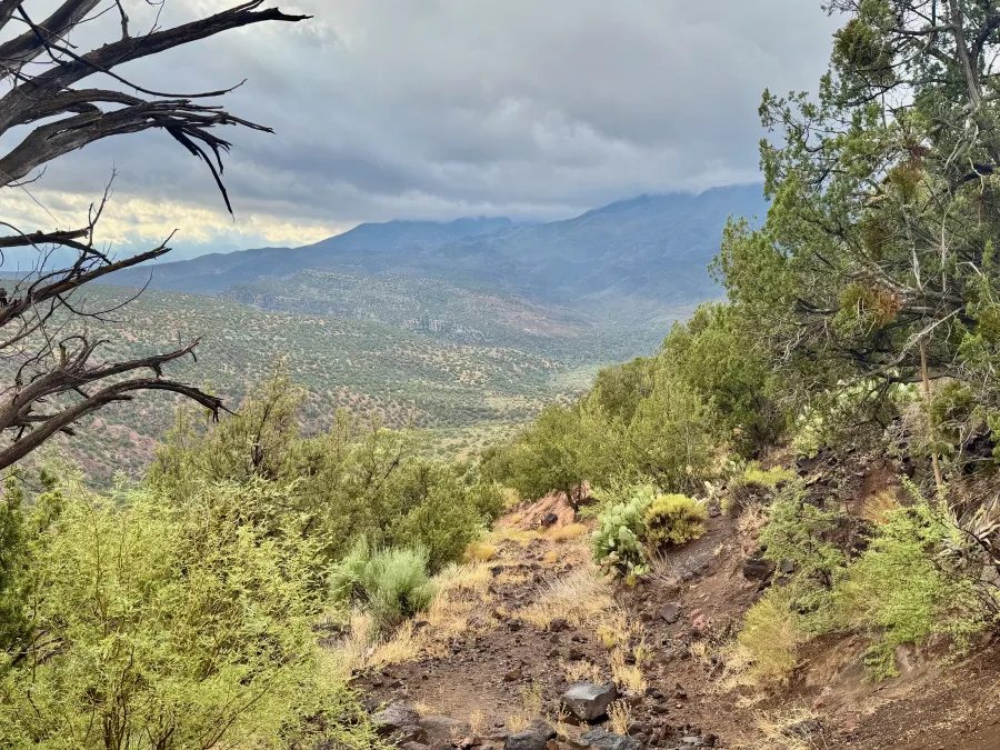 Looking down toward the East Verde River
