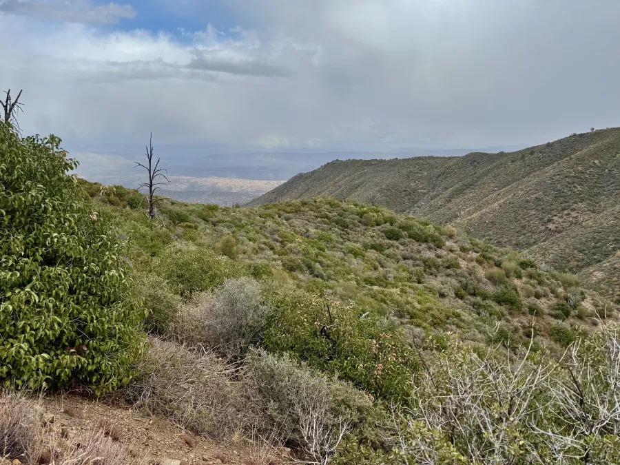 Looking across to a ridge