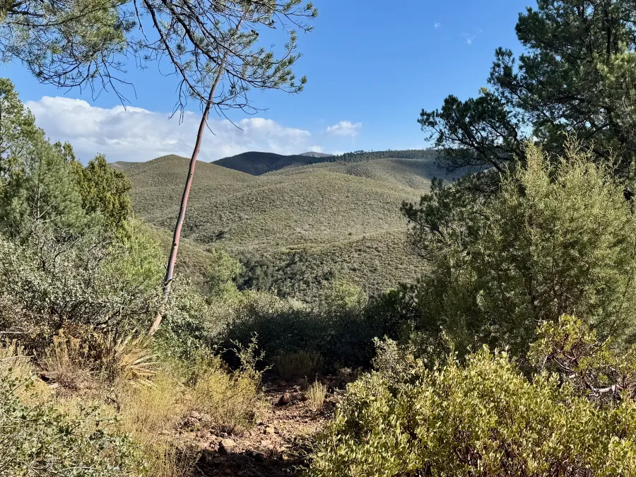 Rolling hills