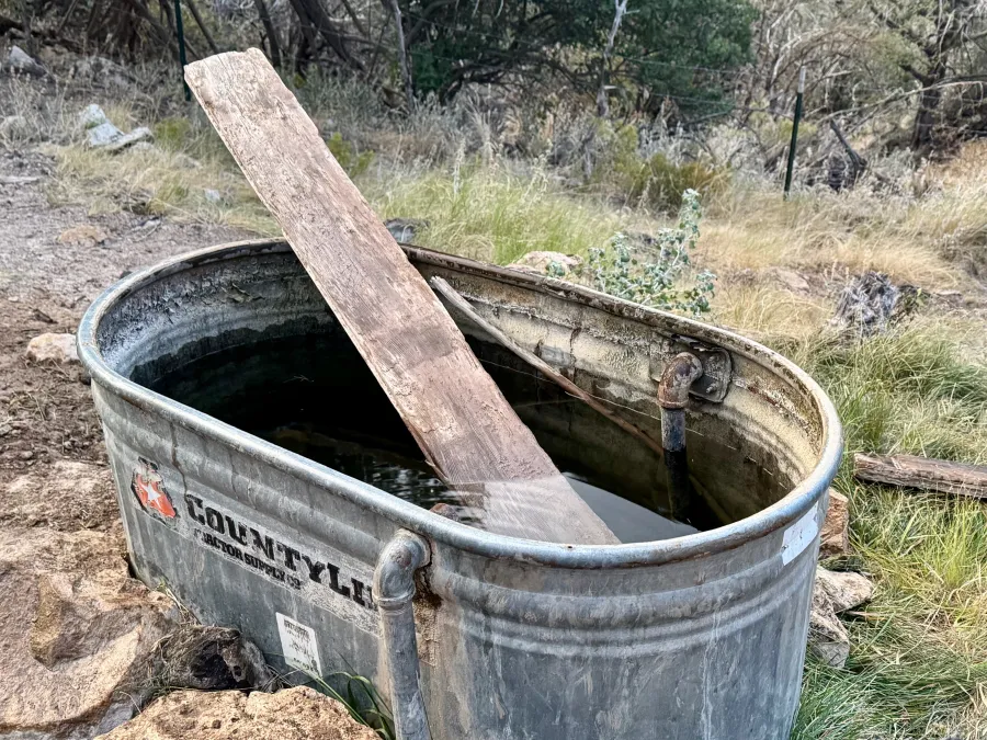 A galvanized metal trough of water