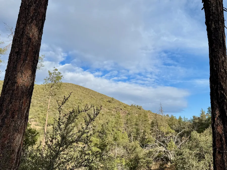 An overcast sky