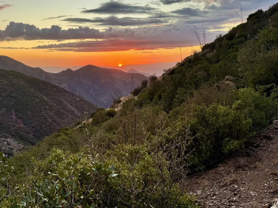 Sunset