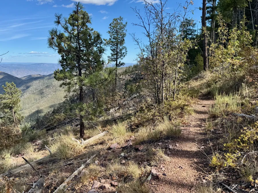The Arizona Trail exits Mazatzal Wilderness