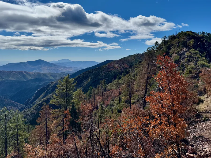 A view of Four Peaks