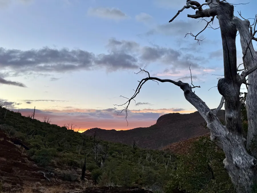 Sunrise at Mazatzal Wilderness