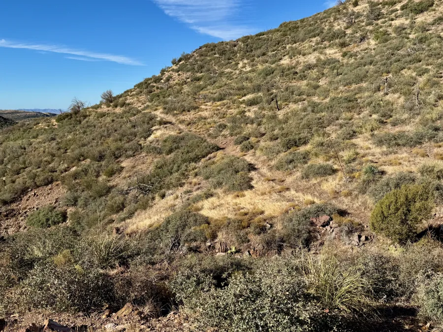 The mountainside becomes desert