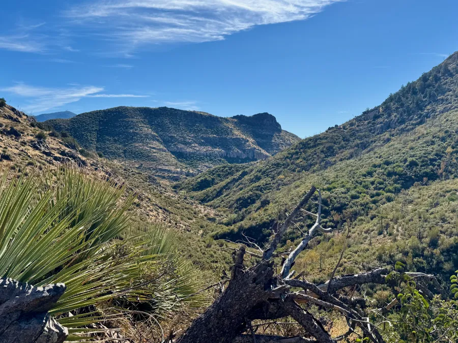 The trail exits the Mazatzal Wilderness