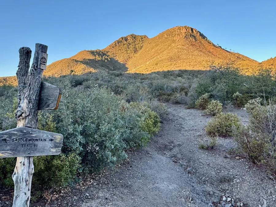 Saddle Mountain