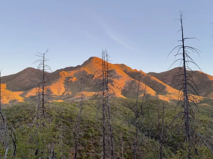 Sheep Mountain at sunrise