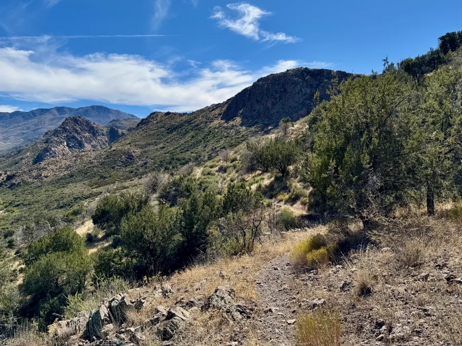 The Arizona Trail near Sunflower
