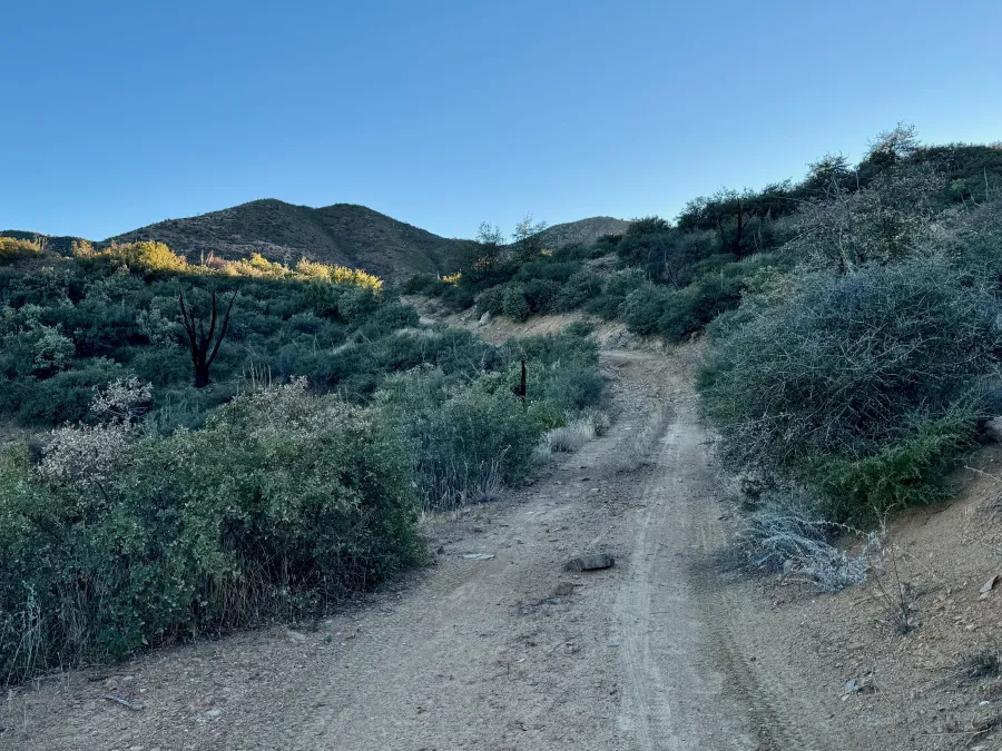 The Arizona Trail follows a dirt road