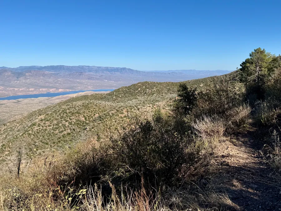 A view of Roosevelt Lake