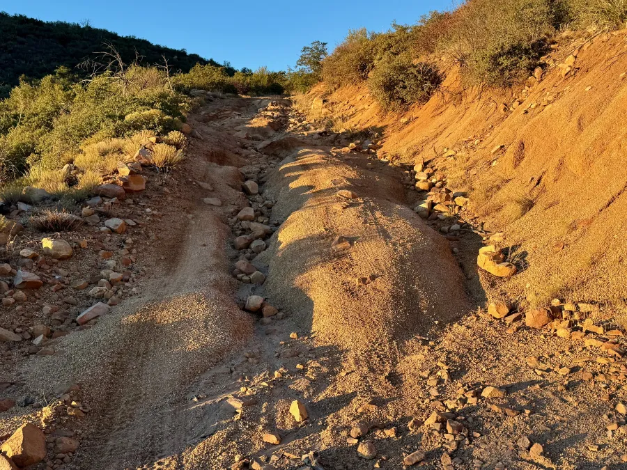 Ruts in Forest Road 422
