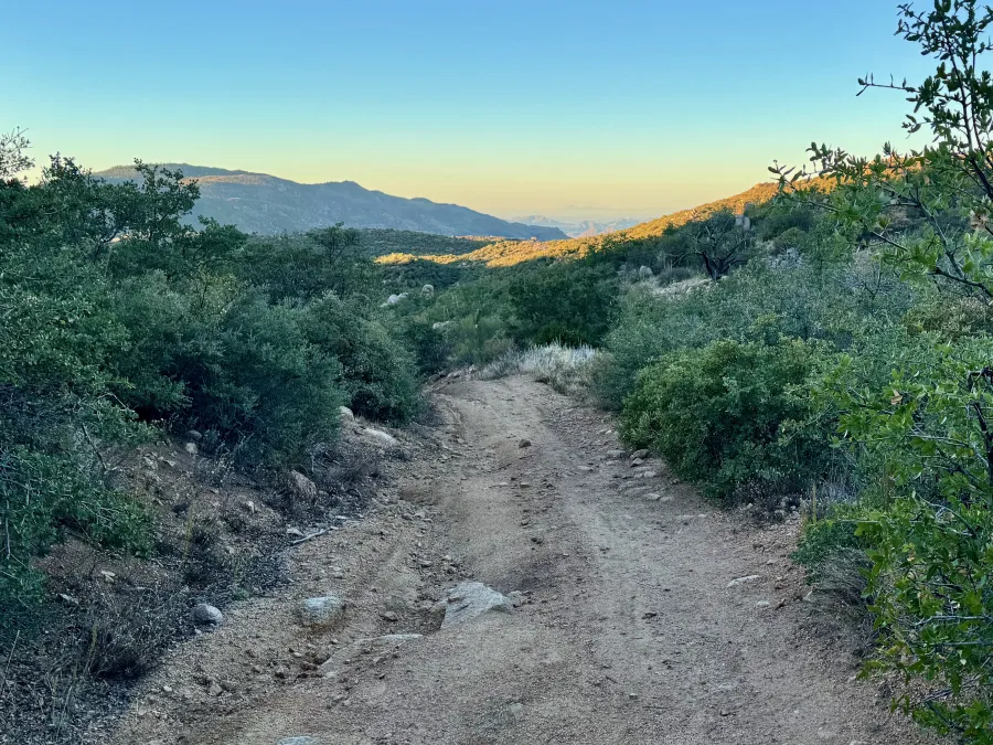 Shade on the trail in the early morning