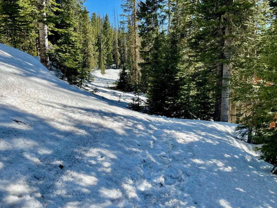 Forest Road 686