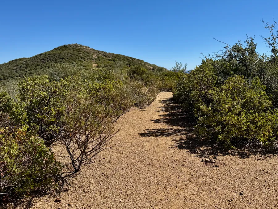 The mountains transition to desert