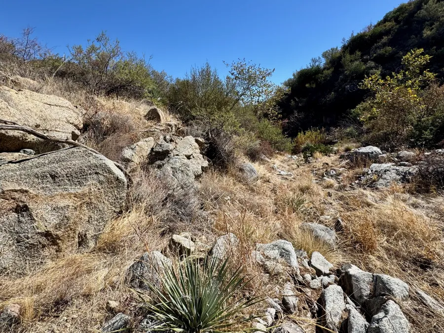 A partially hidden route out of Buckhorn Creek