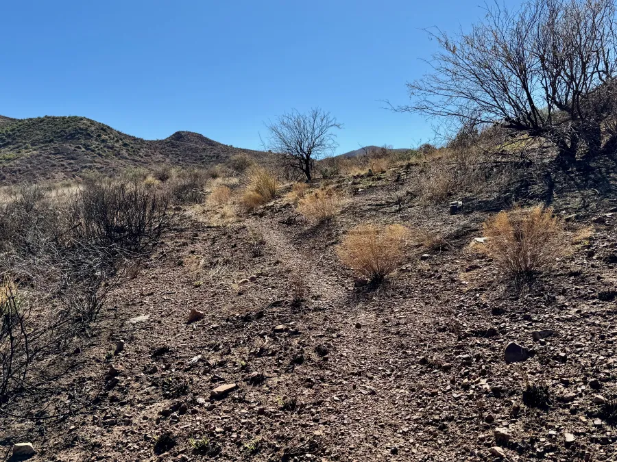 A barren section of trail after a recent fire