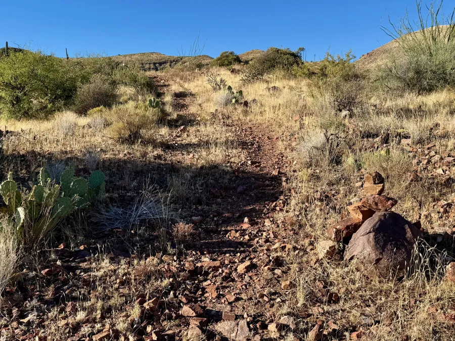 The day immediately started with a steep climb