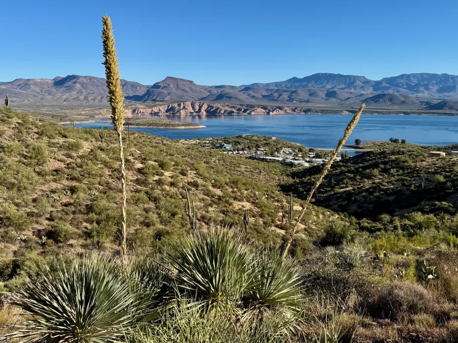 Looking back to Roosevelt Lake
