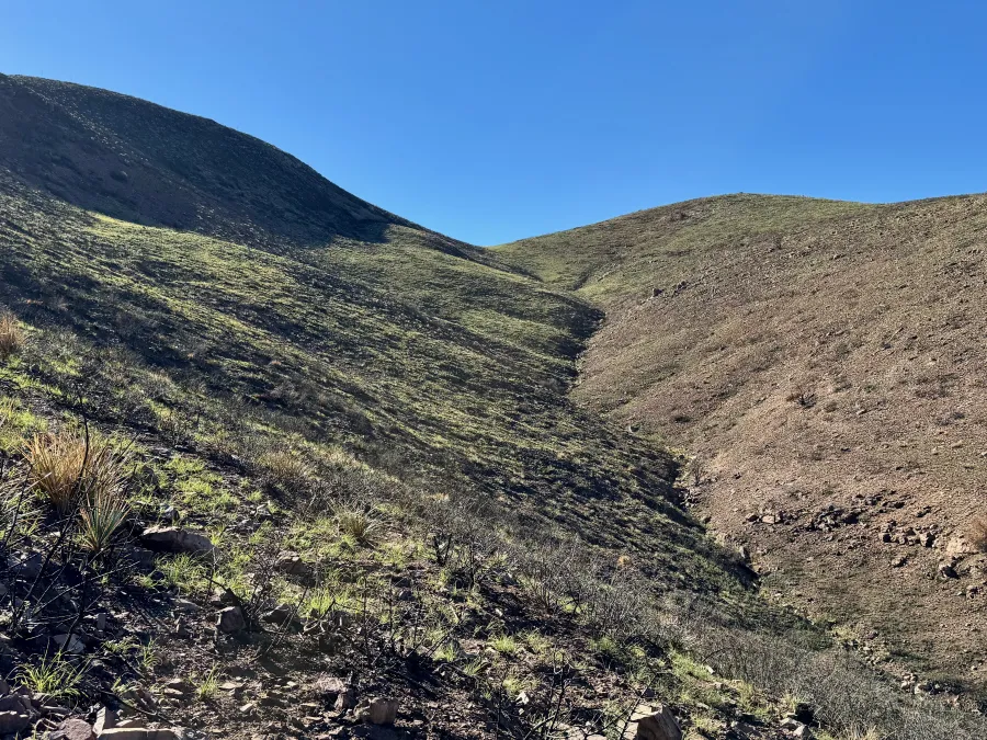 Looking up toward the summit of Pinyon Mountain