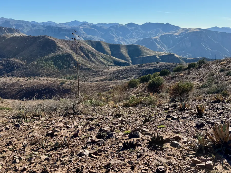 Looking across a rugged landscape