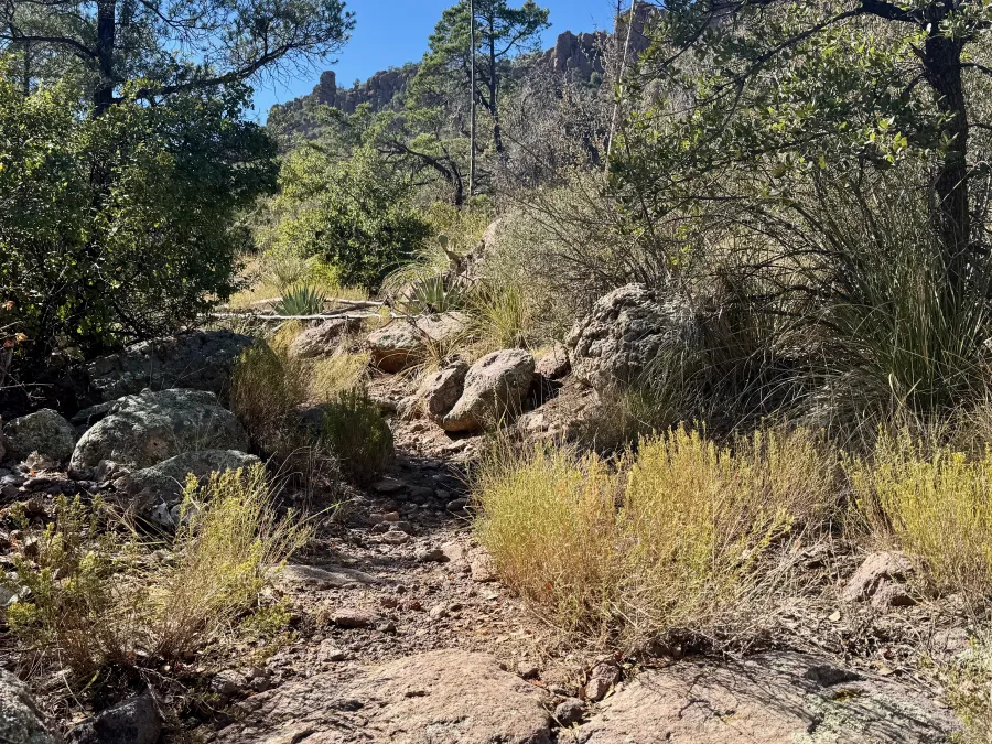 Ankle-twisting rocks on the trail