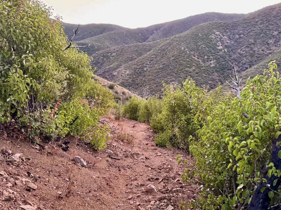 Beginning a descent from Reavis Saddle