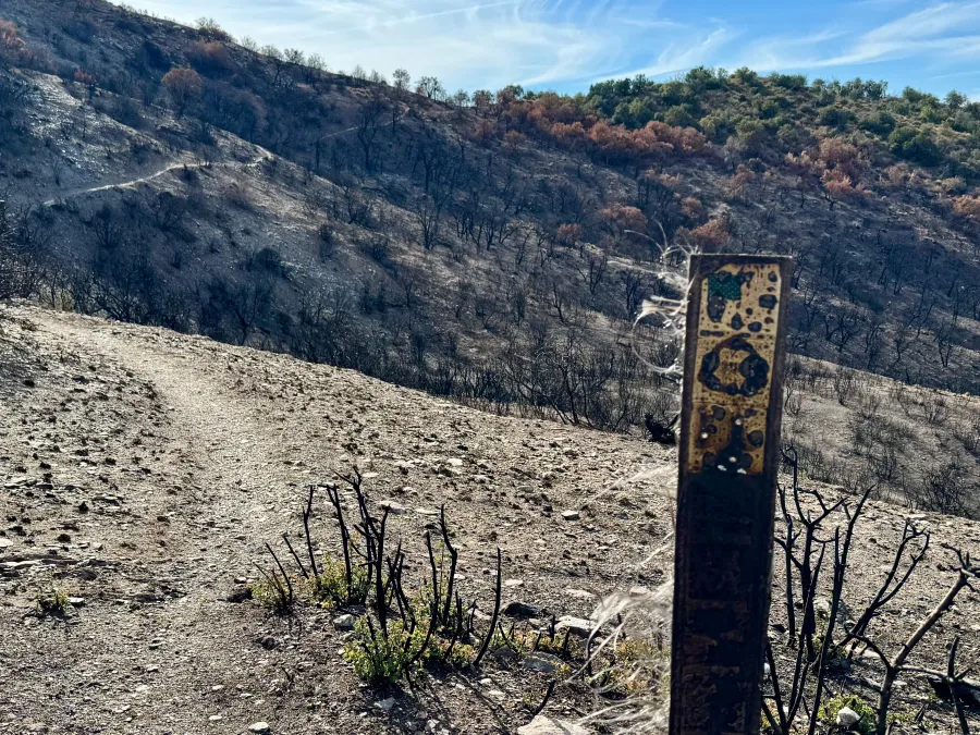 A trail marker is partically burnt