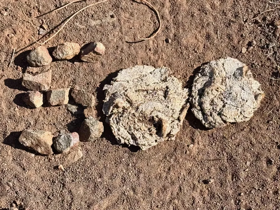 The number 500, made with rocks and desiccated cow droppings 