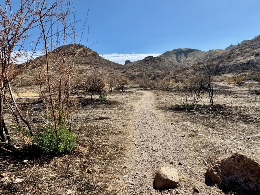 A section of the AZT burned in July 2024