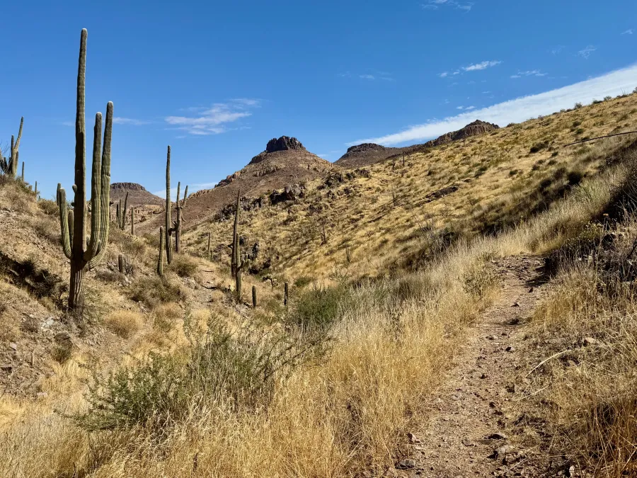 Tall, narrow buttes rise in the distance
