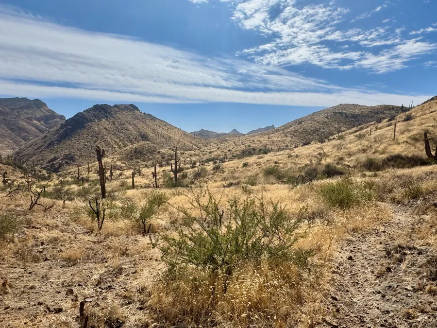 Many hills south of Picketpost Mountain