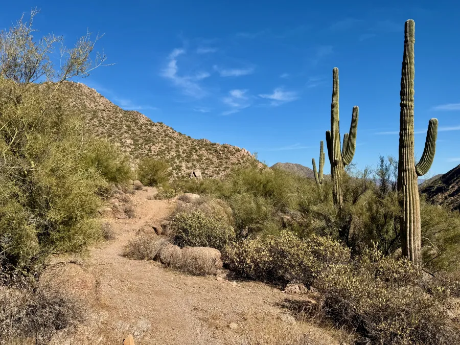 No cover for shade on the trail