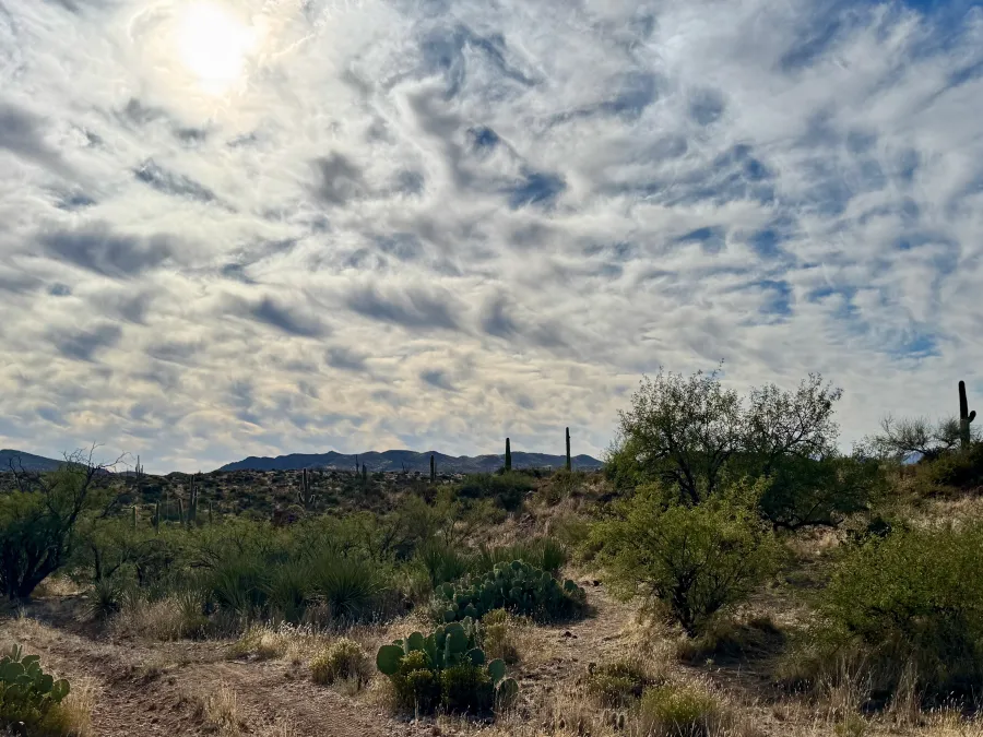 Clouds gather into a thin layer