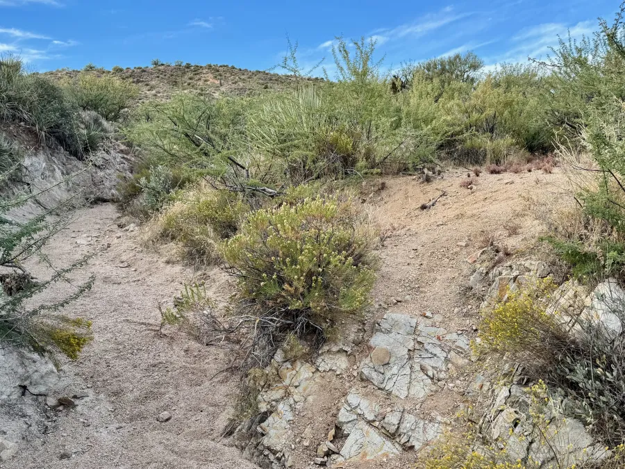The trail crosses a sandy wash