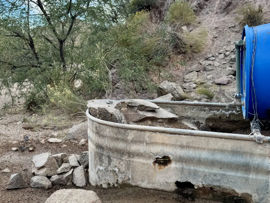 A plastic tank and a rusty metal trough collect spring water