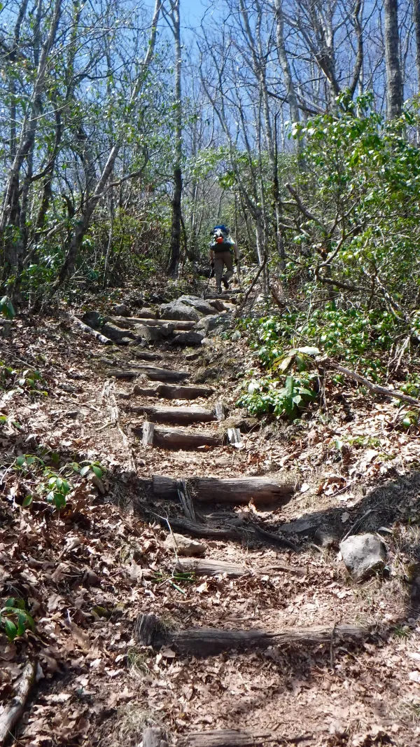 Steps