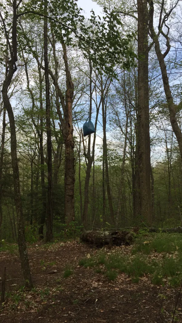 Bear bag at Cherry Gap Shelter