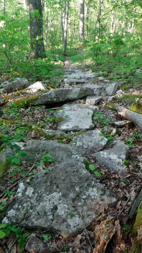 Rock slabs on trail