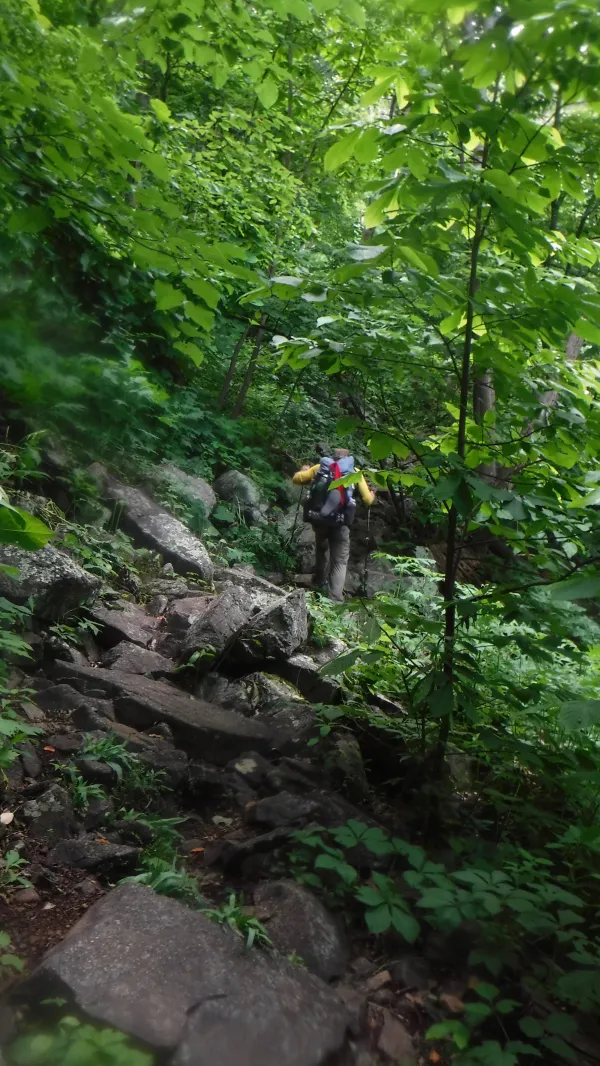 Steep climb up Three Ridges Mountain