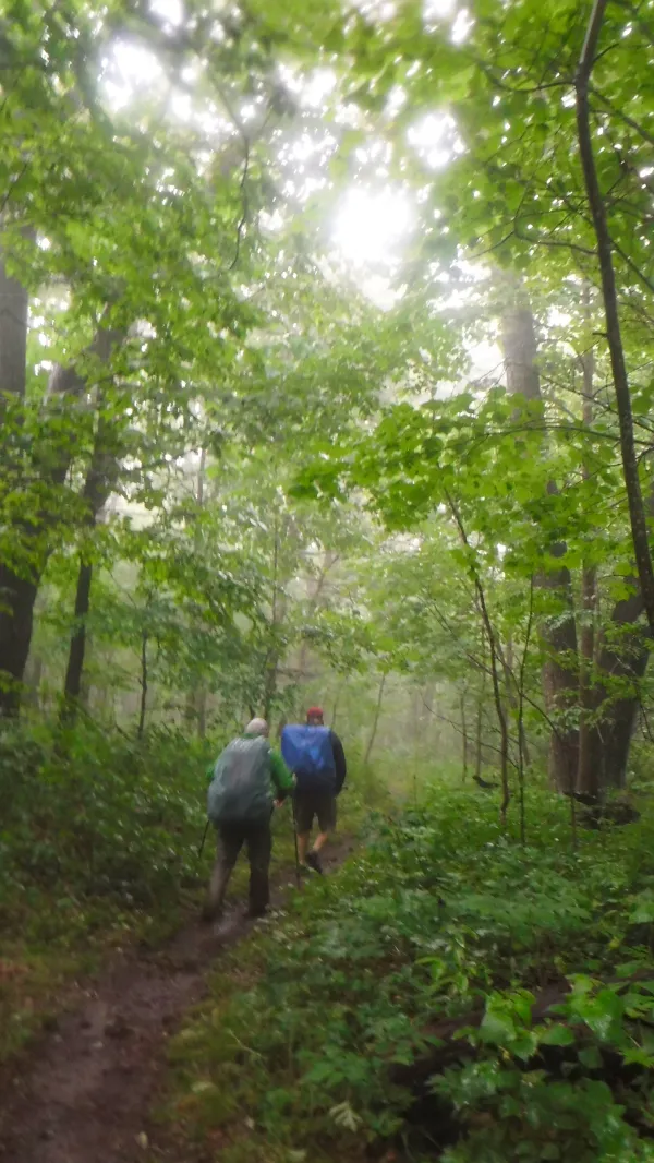 Stick and Mike on rainy trail