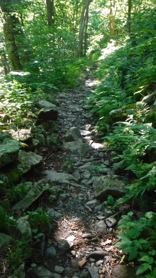 Rocky trail