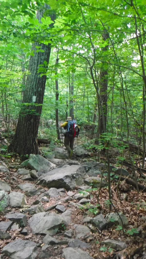 Rocky trail