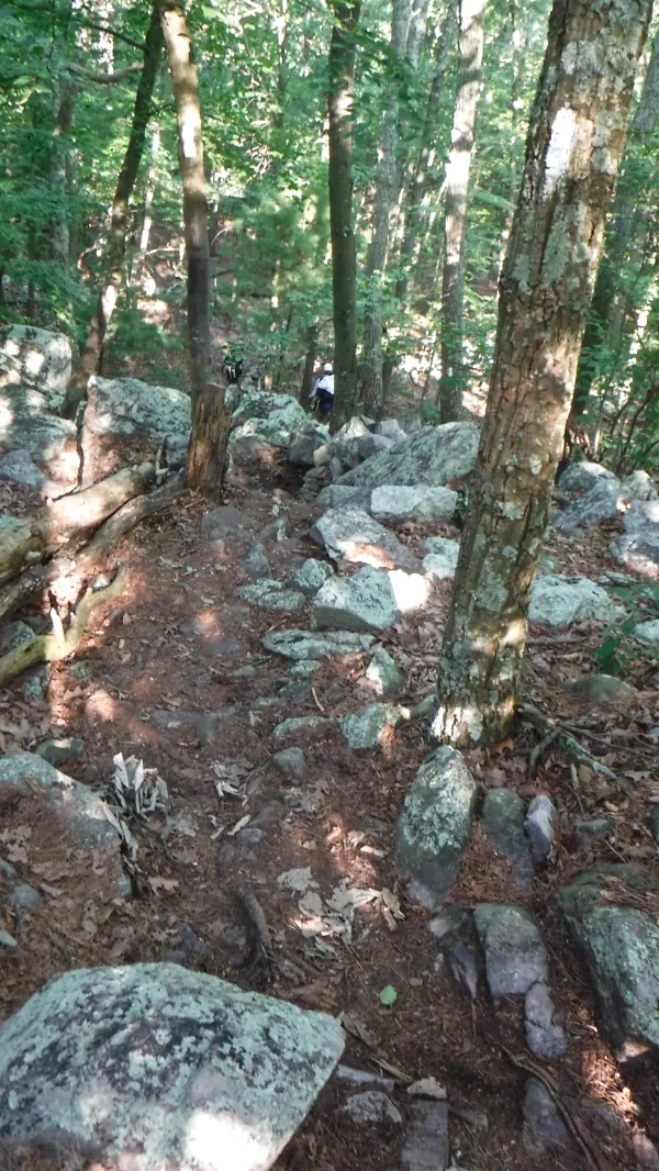 More rocks
