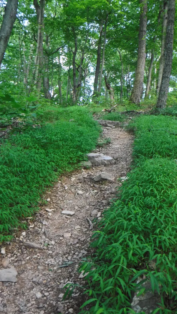 Not rocky trail